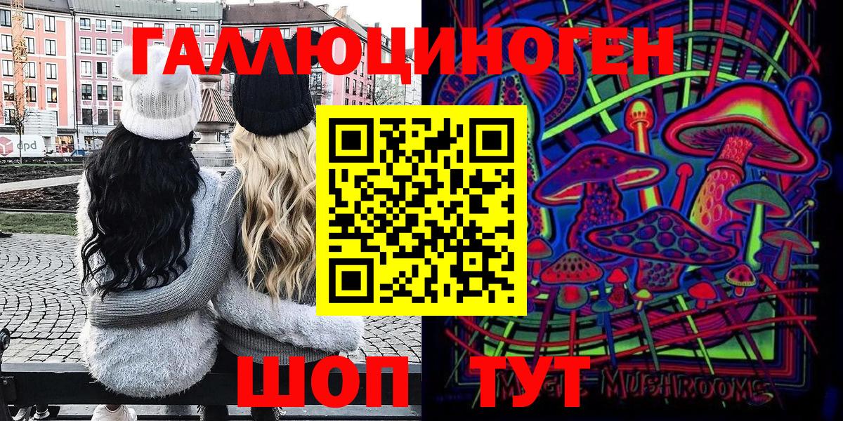 Тосно  Псилоцибиновые грибы ЛСД  Вход с VPN 