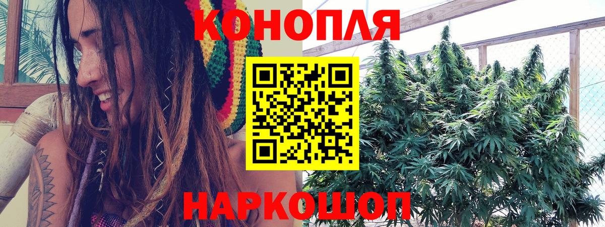 Тосно  Канабис планчик  Вход с VPN  Марихуана LSD WEED  Бошки марихуана OG Kush 